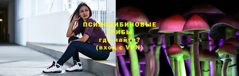 мега ссылка  Ряжск  Псилоцибиновые грибы мицелий  купить  сайты 